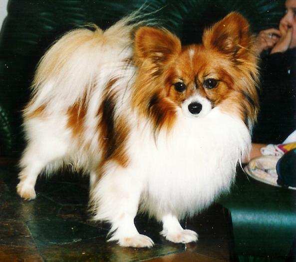 CH. Mi'chti de la haute - roome
